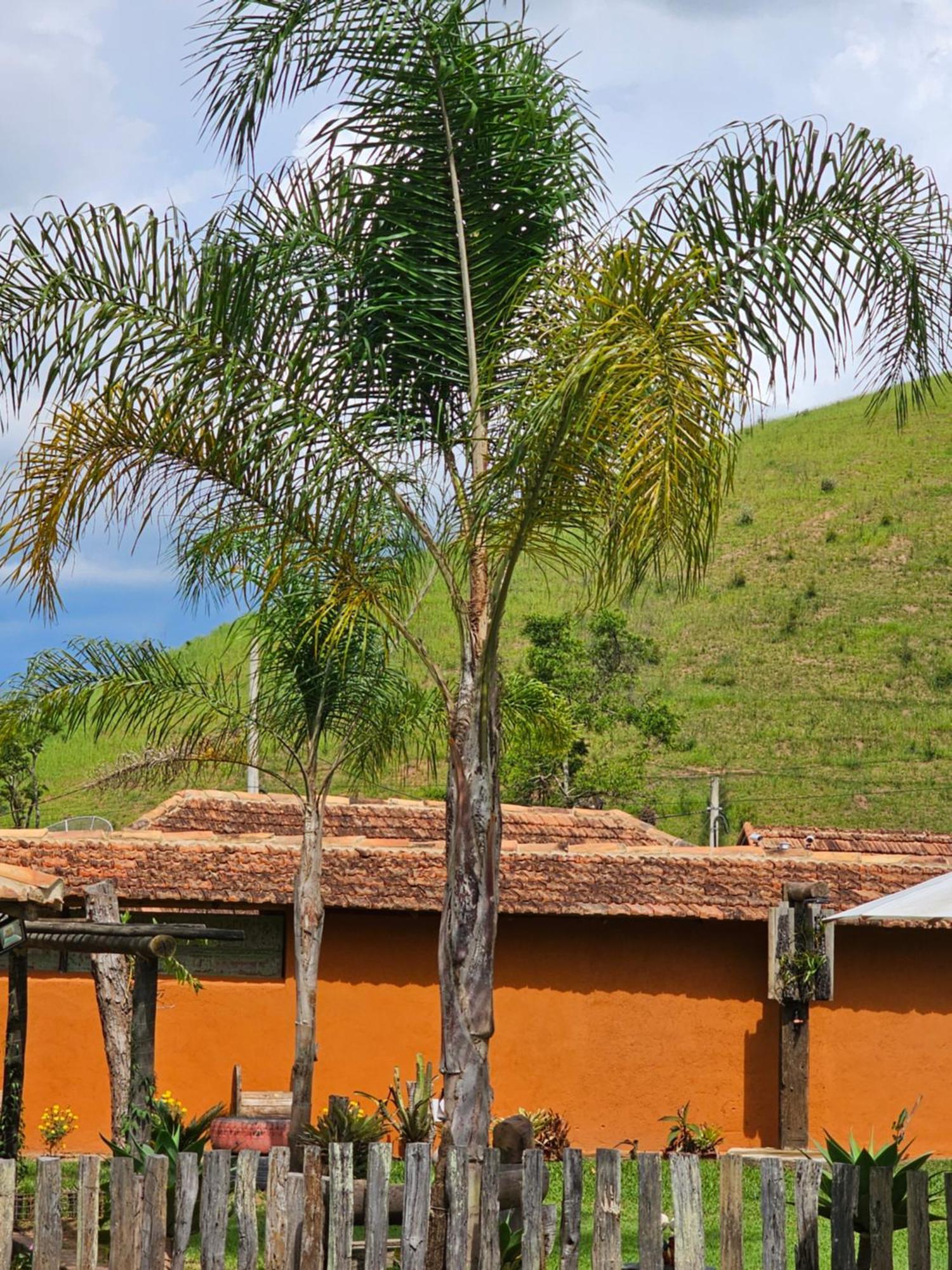 הוילה Paraíba do Sul Sitio Reis Membeca מראה חיצוני תמונה
